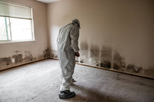 Best Emergency Mold Removal  in Oakland, FL